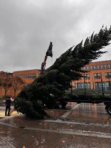 ... und Mithilfe des Krans aufgerichtet.