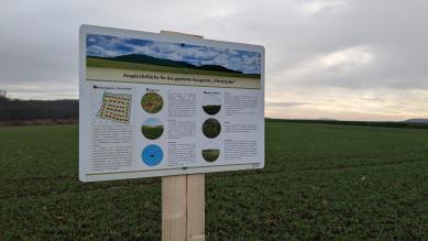 Hinweistafel zu Feldlerchenfenster in Pferchäcker.